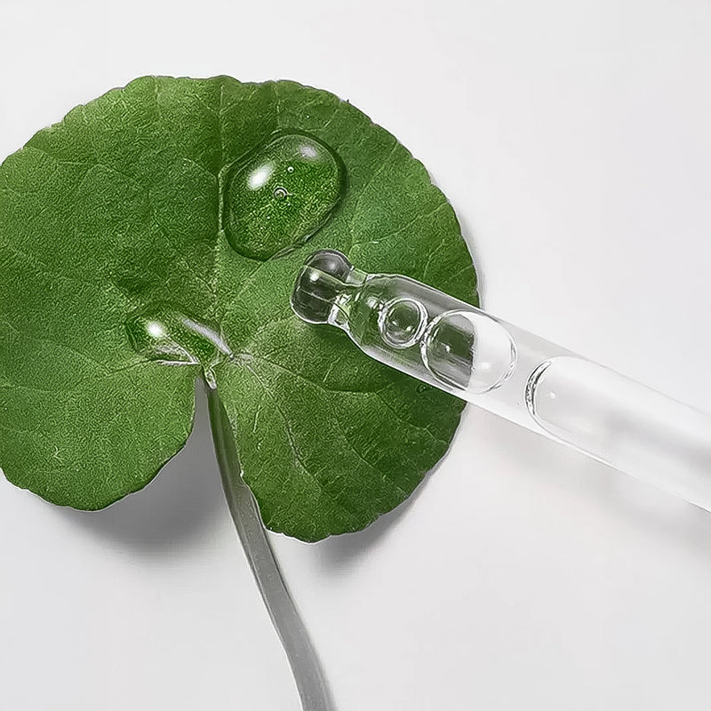 Centella Asiatica Extract (Cica)