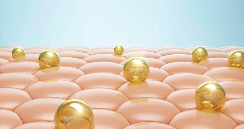 Ceramide Complex 